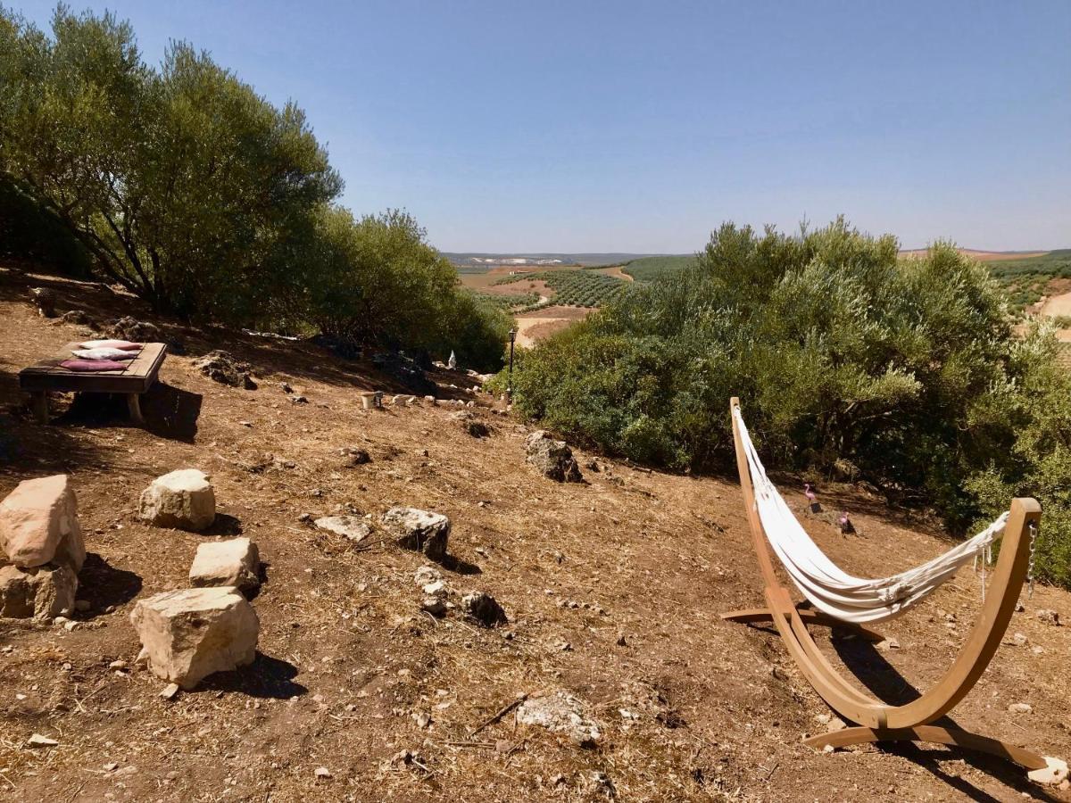 Room In Villa - Beautiful Accommodation At The Heart Of Andalusia Puente Genil Esterno foto