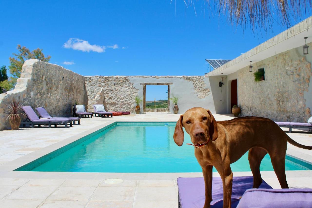 Room In Villa - Beautiful Accommodation At The Heart Of Andalusia Puente Genil Esterno foto