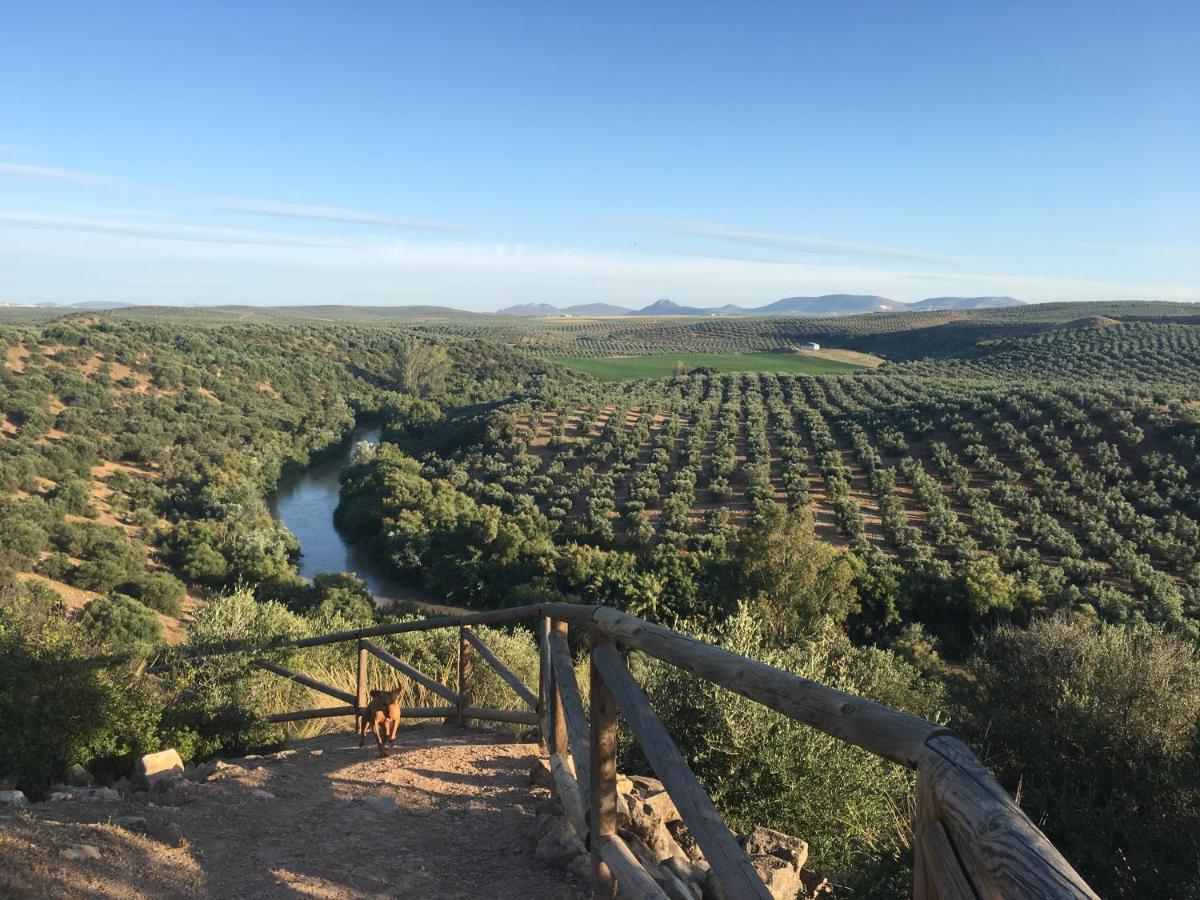 Room In Villa - Beautiful Accommodation At The Heart Of Andalusia Puente Genil Esterno foto